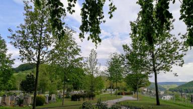 Friedhof